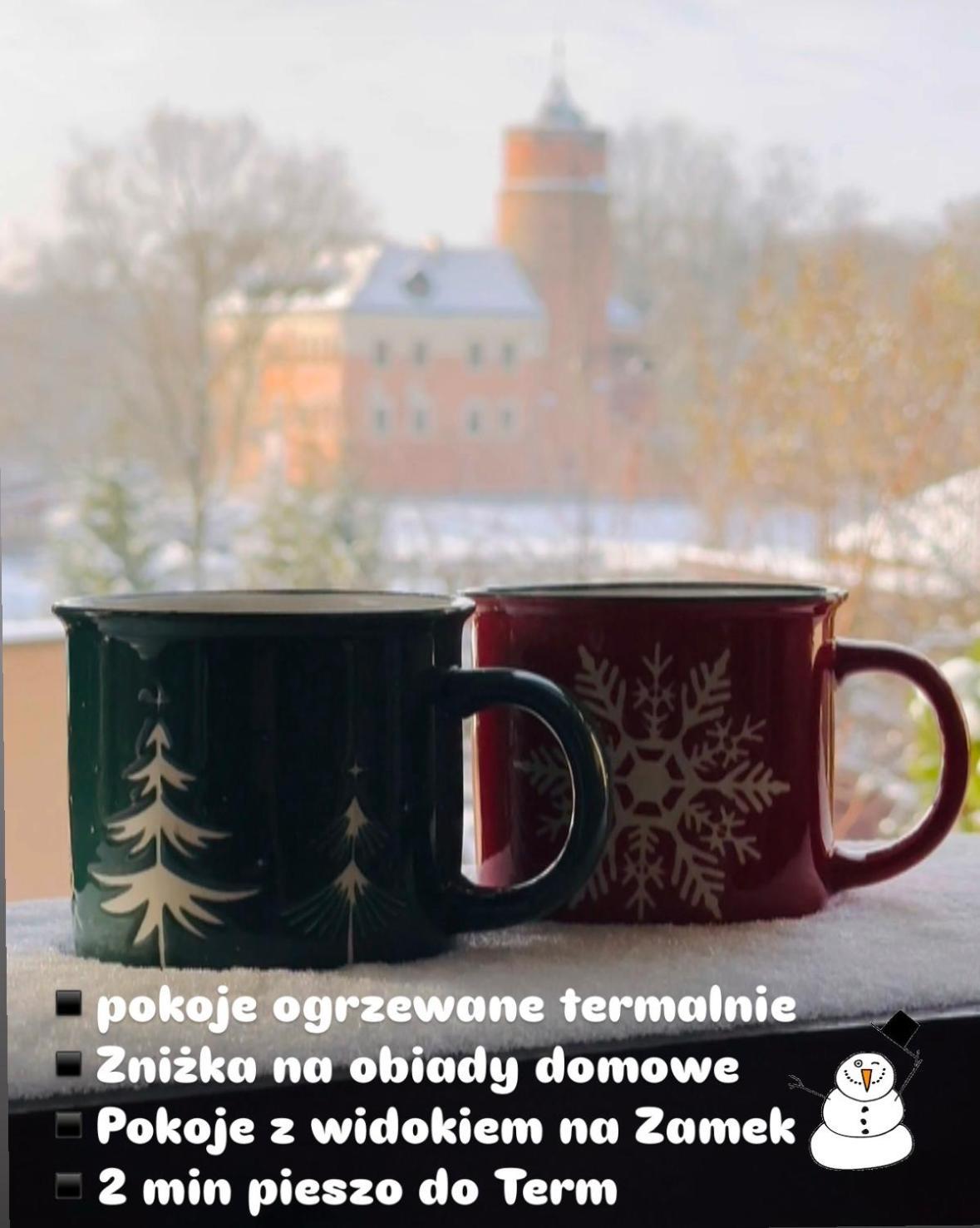 Pokoje Przy Bulwarach Uniejow Kültér fotó